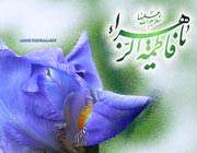 خرمايي که حضرت زهرا به سلمان داد هسته نداشت
