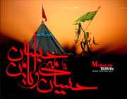 چرا کوفه مقر حکومت امام زمان علیه السلام است؟