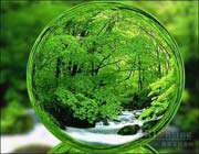 دنیا می خوای یا آخرت؟!(علل تنهایی سیدالشهدا(4) )