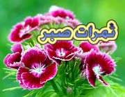 کليد ورود به بهشت 7 - چگونه اجر هزار شهيد را کسب کنيم