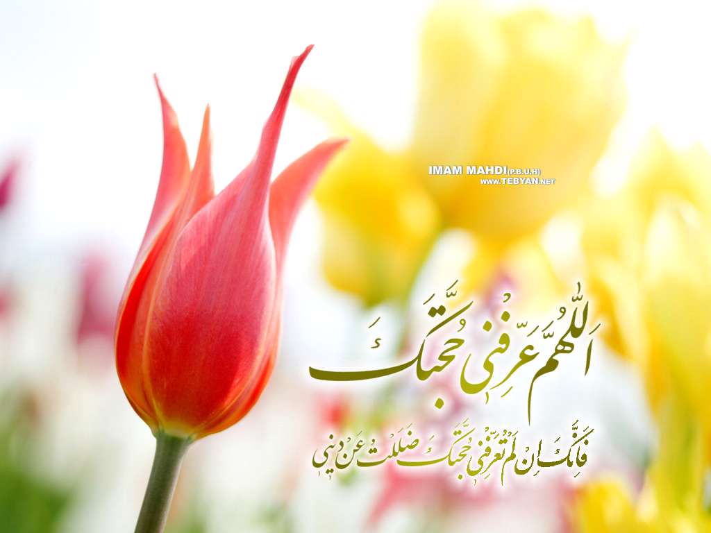 بوسه گل (فلش )
