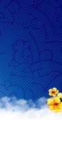 ويژه نامه ميلاد حضرت معصومه عليها السلام سال 88 - Screensaver