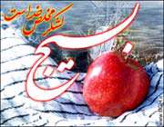 بسیج چیست و بسیجی کیست ؟