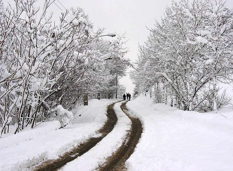 وقتی آسمان دلش برای زمین می سوزد 