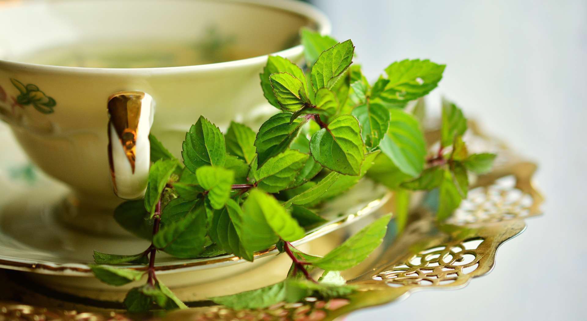 سه روش برای از بین بردن بوی بد دهان با نعنا