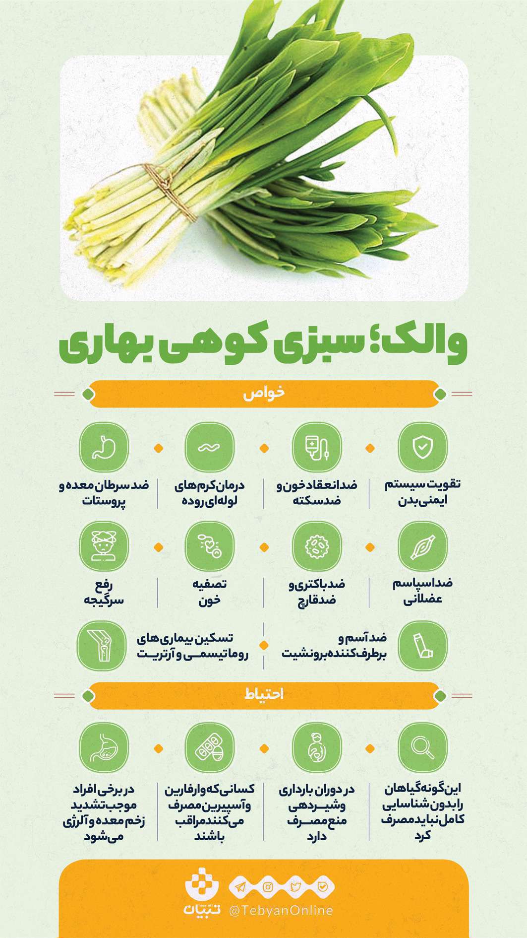 اینفوگرافی خواص والک اینفوگرافی خواص والک