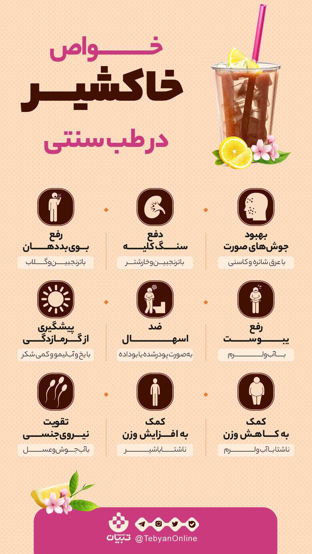 اینفوگرافیک| خواص خاکشیر در طب سنتی