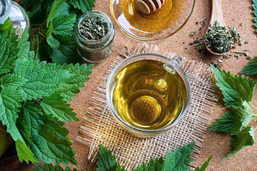 5 دمنوش گیاهی برای کاهش اسیداوریک خون