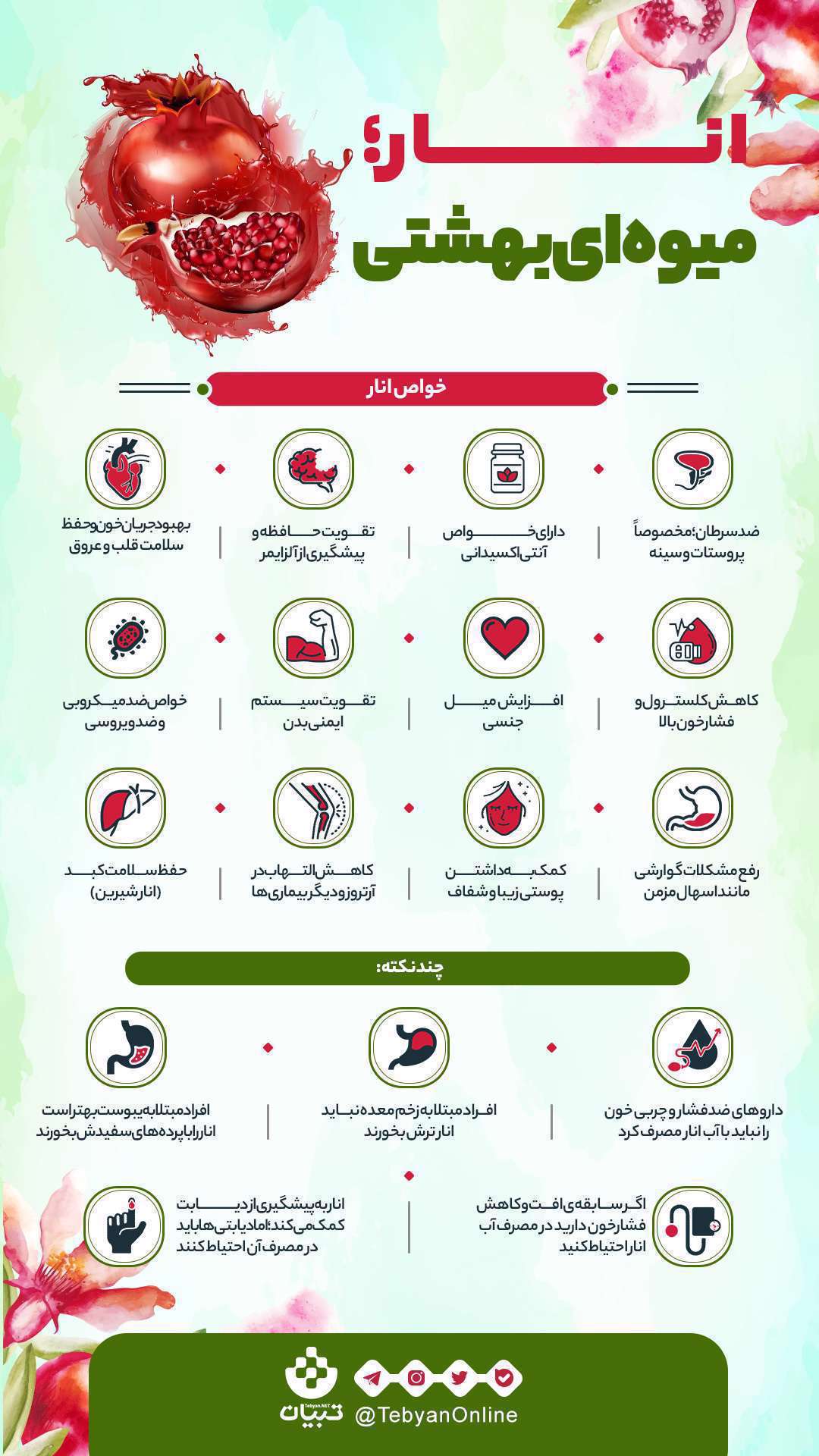 انار؛ از خواص و فواید تا نکات مهم برای مصرف [اینفوگرافیک]