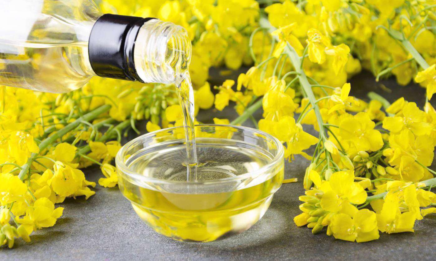 روغن کانولا در مقایسه با روغن گیاهی