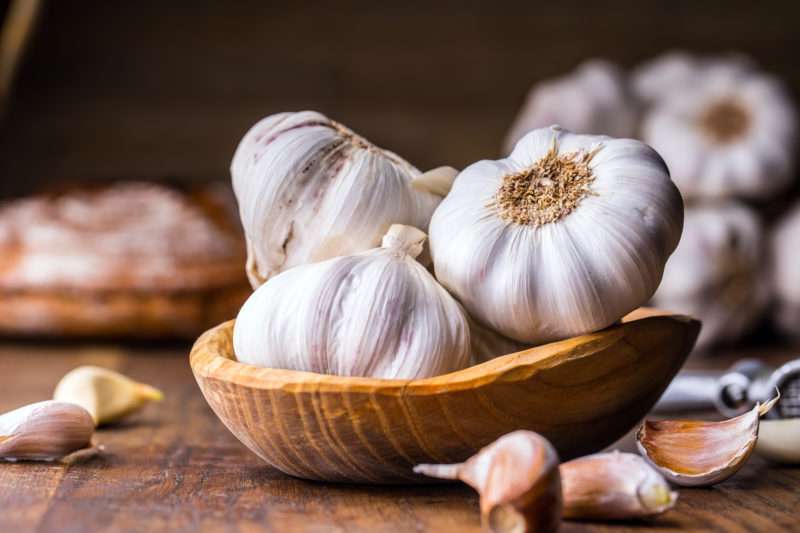 از بین بردن انگل‌های روده با سیر و تخمه کدو