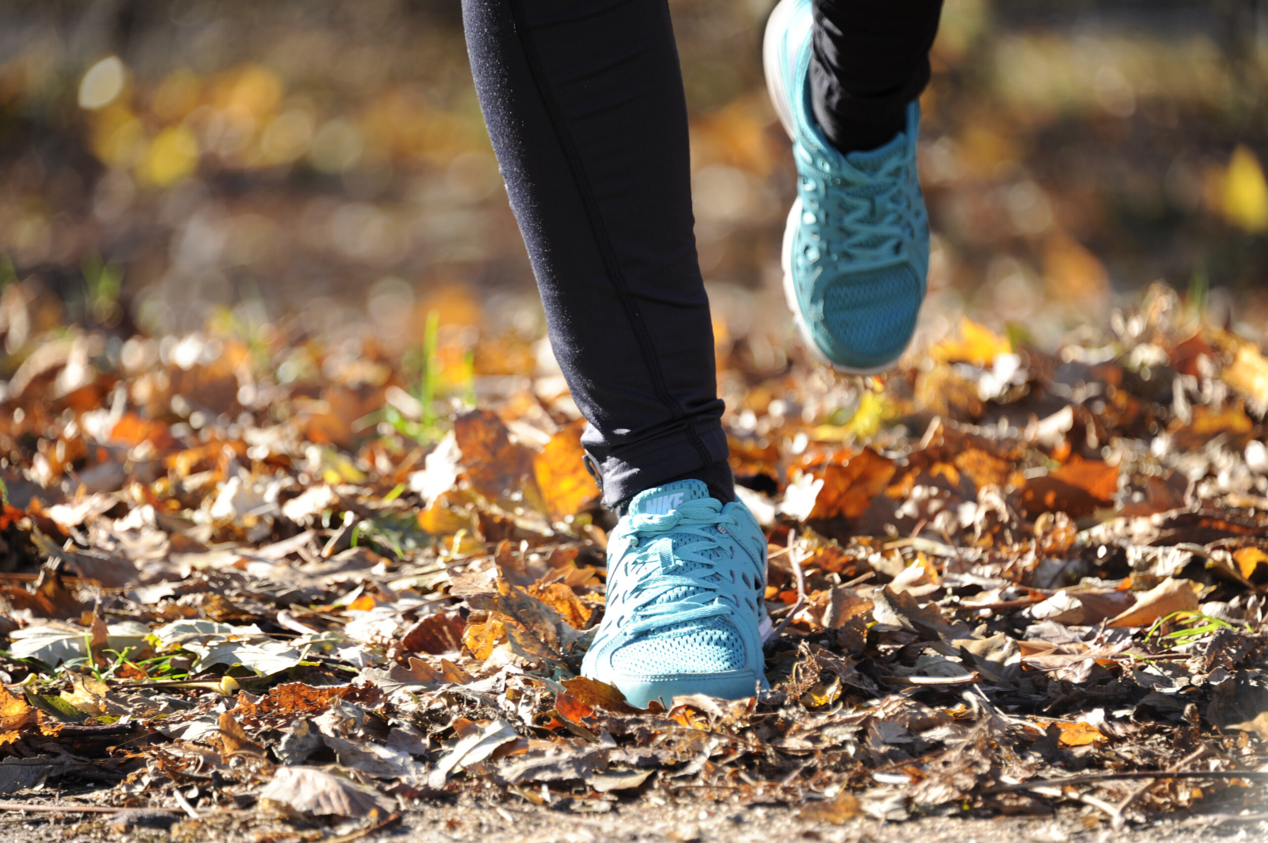 فصل‌ها چه اثری بر سوخت‌وساز بدن می‌گذارند؟