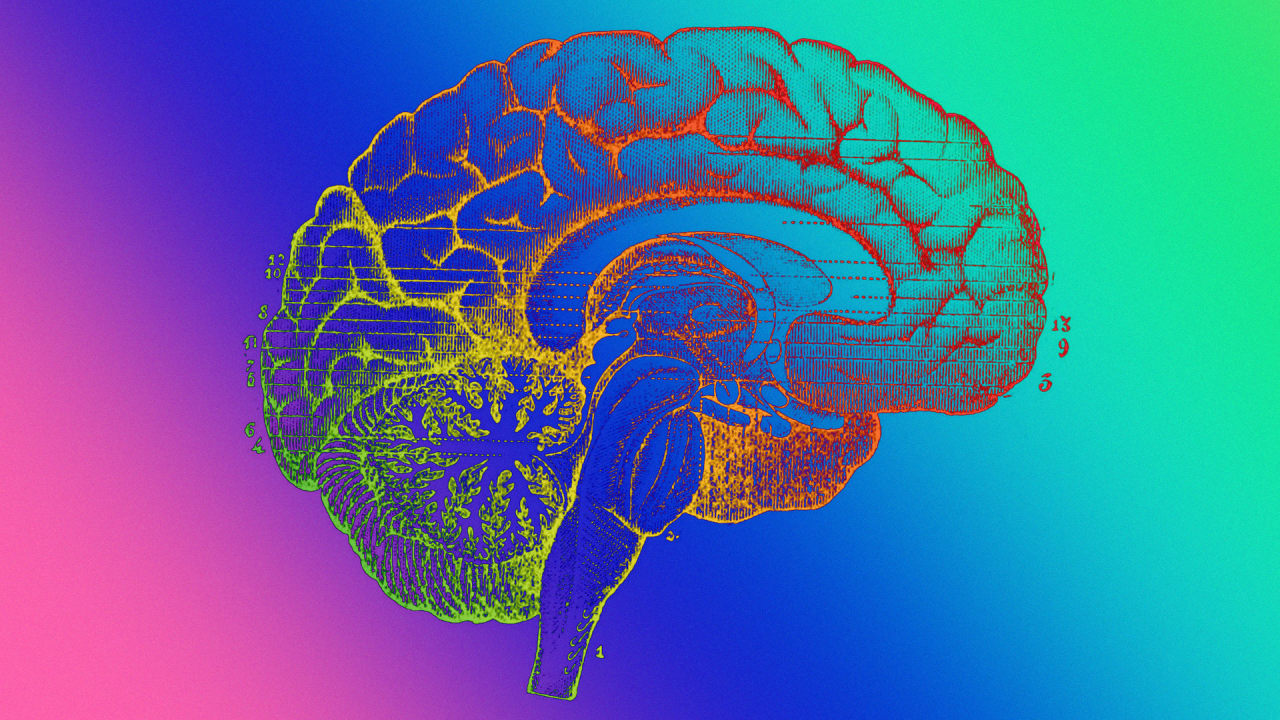 ۶ عامل تخریب‌کننده حافظه را بشناسید