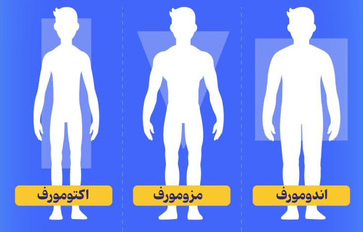 انواع متابولیسم و شناخت نوع متابولیسم بدن شما