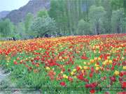 یك راه ساده برای رهایی از احساسات خشم آلود