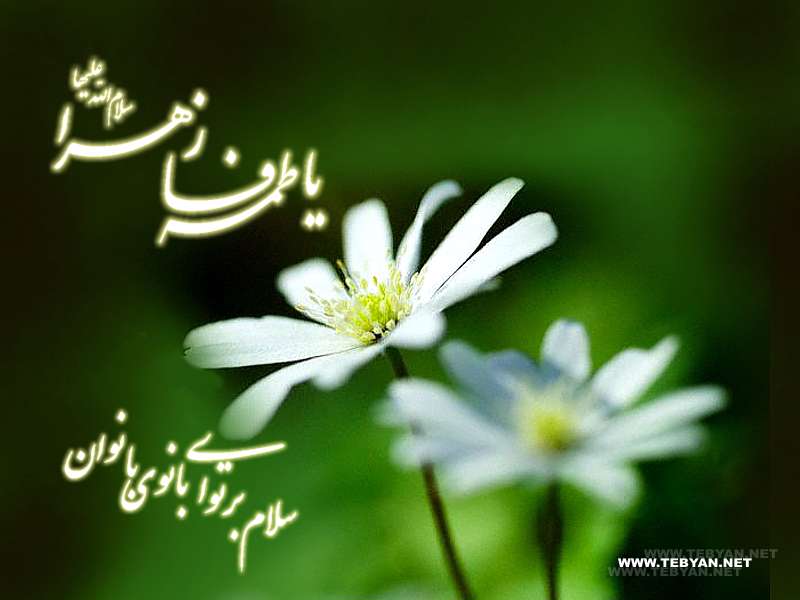 ویژه نامه میلاد حضرت فاطمه سلام الله علیها