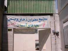 دست سبز تو زندگی دوباره به من می دهد