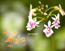 نگاهى به سیماى امام صادق علیه السلام (2)
