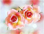 حضرت موسی و دختر شعیب