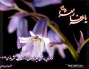 بازخوانی خطبه امیرالمومنین علی علیه السلام در سوگ فاطمه علیهاالسلام