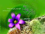 ويژه نامه ولادت حضرت علي عليه السلام سال 88 – داستان‎های شگفت از آیة الله دستغیب(ره)