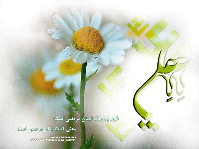 ويژه نامه ولادت حضرت علي عليه السلام سال 88 – منظومه احساس