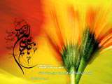 ويژه نامه ولادت حضرت علي عليه السلام سال 88 – زیارت حضرت علی علیه السلام