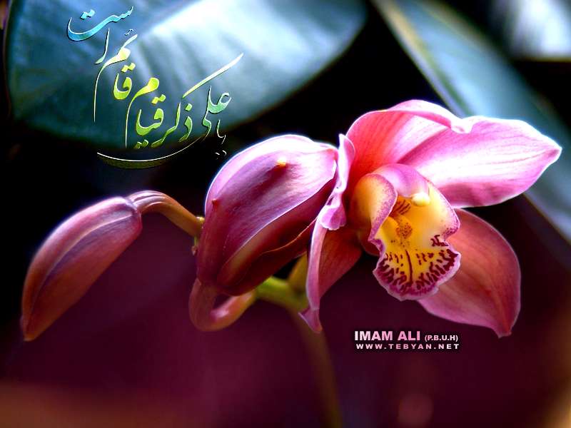 ويژه نامه شهادت حضرت علي عليه السلام سال 88 - منظومه احساس