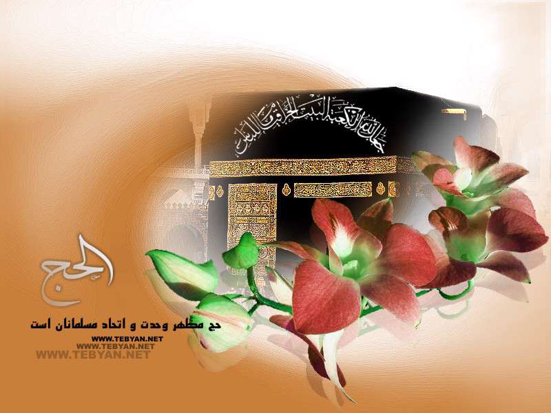 ويژه نامه حج سال 87 - فيلم جوان آمريكايي شيعه شده در حج