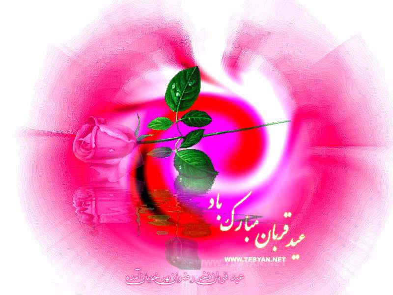 ویژه نامه سال های گذشته