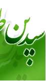سید ذوالحسنین