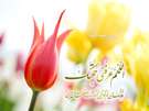 ويژه‌نامه آغاز امامت امام زمان (ع) سال 87 - درد دل با امام زمان(عليه السلام)