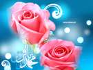 گلی از گلشن طاها- ویژه نامه ولادت امام باقر علیه السلام (سال88)