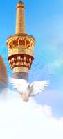 تصاویر ویژه ولادت امام رضا علیه السلام 91