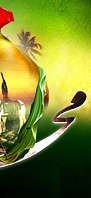 فیلم های مربوط به ویژه نامه محرم سال 1389