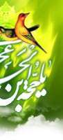 امام زمان عجل الله فرجه  (فیلم)