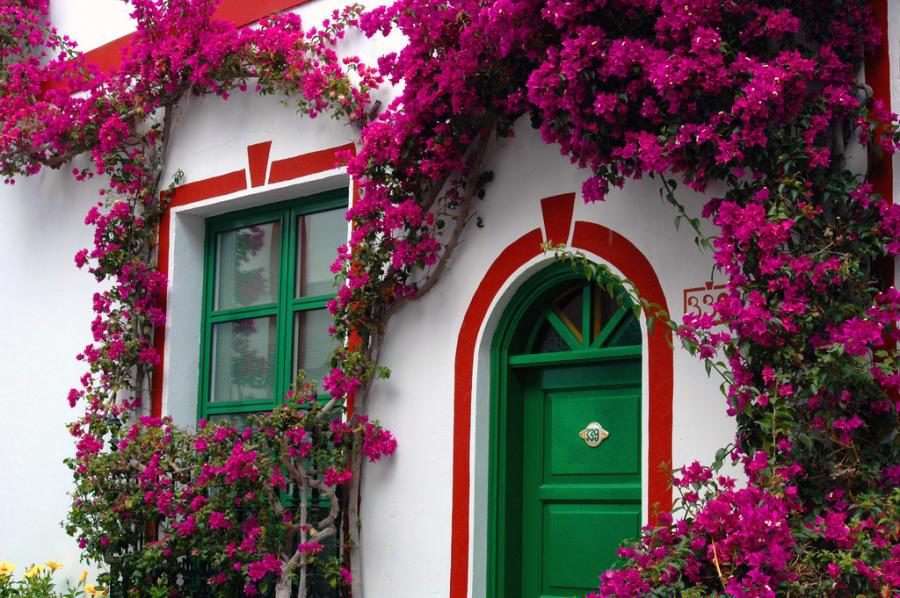 ریزنکاتی درباره زیبایی محیط زندگی