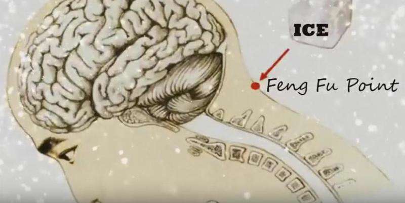 معجزه ی گذاشتن یخ روی گردن