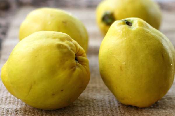  نسخه طب سنتی برای تهوع صبحگاهی زنان باردار