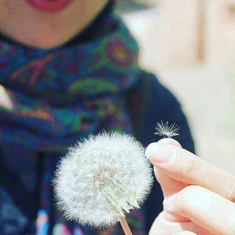 چند دلیل کوچک برای خوشبختی چند دلیل کوچک برای خوشبختی