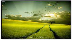  فرق معجزه با سحر و جادو چیست؟ 