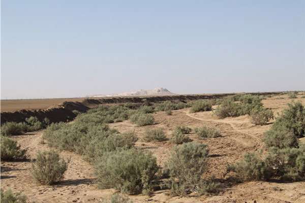 خطر بیابان‌زایی پشت درهای گرمسار