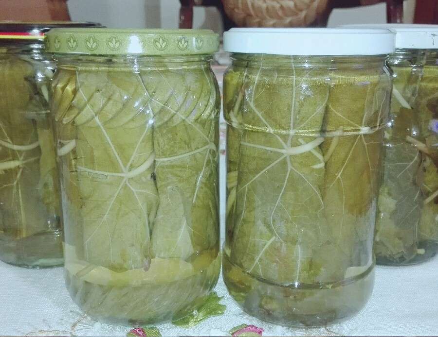 طرز تهیه کنسرو برگ مو
