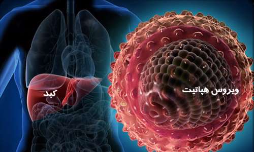 10 دانستنی درباره هپاتیت 10 دانستنی درباره هپاتیت