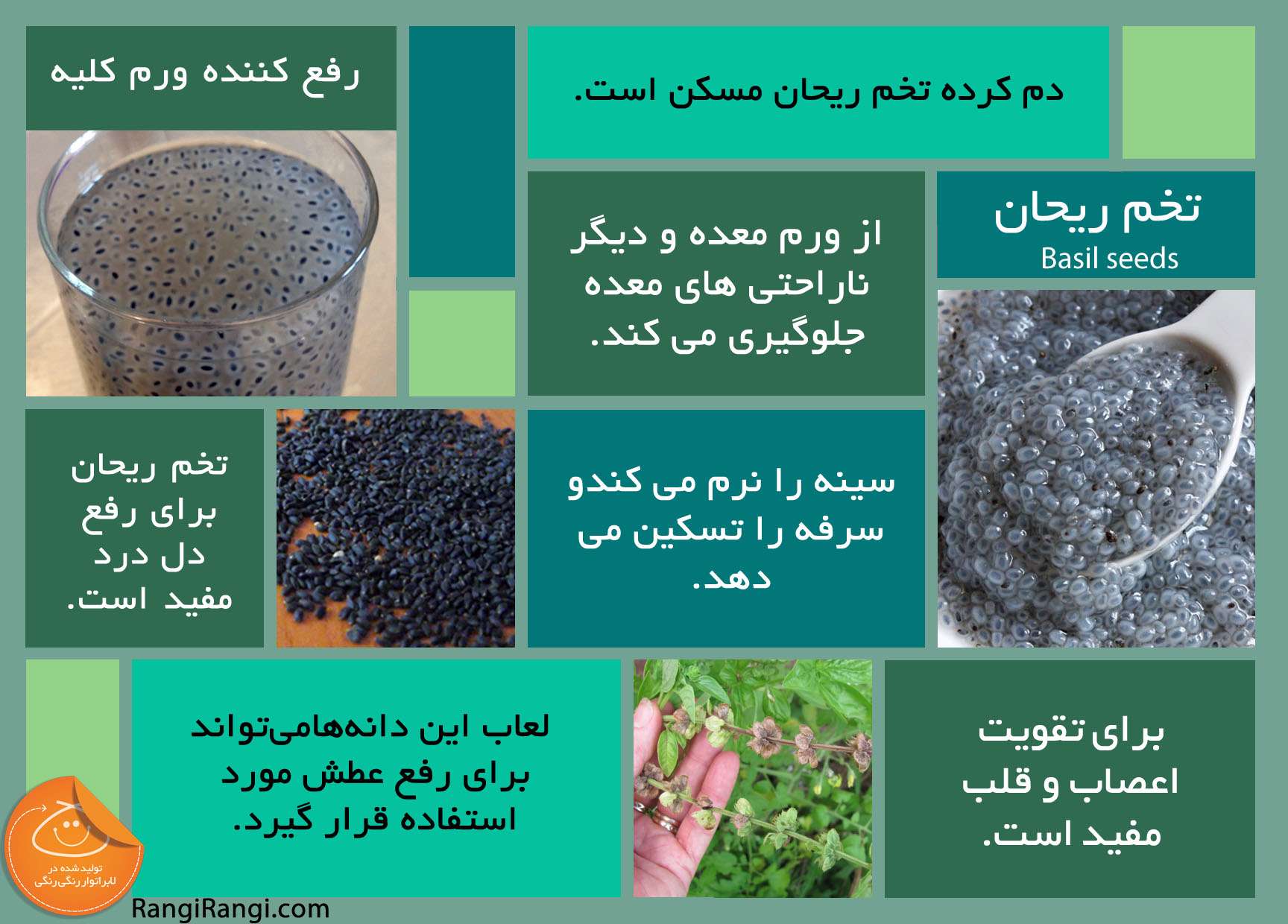 جایگاه تخم شربتی در زندگی سالم