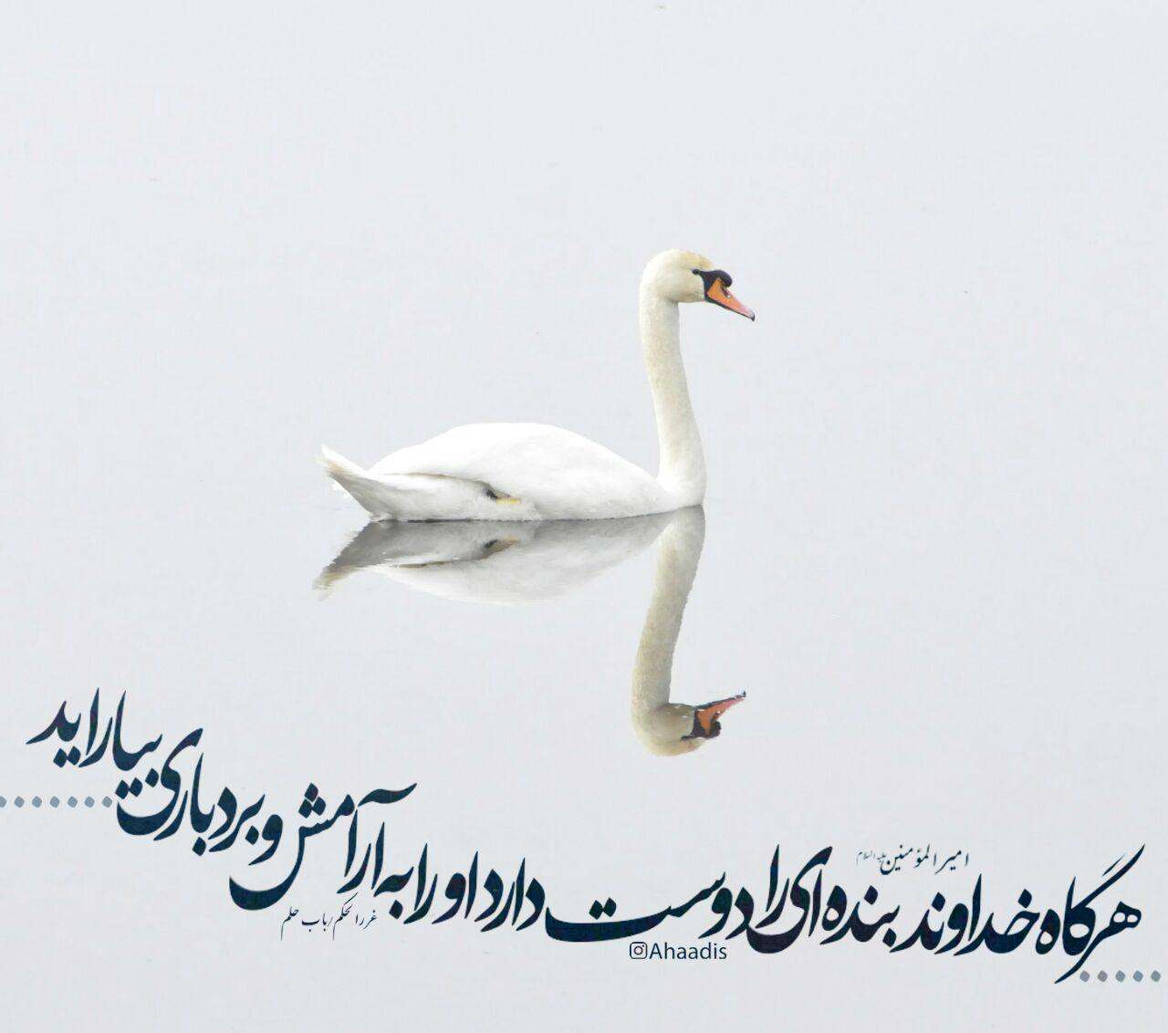 الگوهای صبر و اسطوره های مقاومت 
