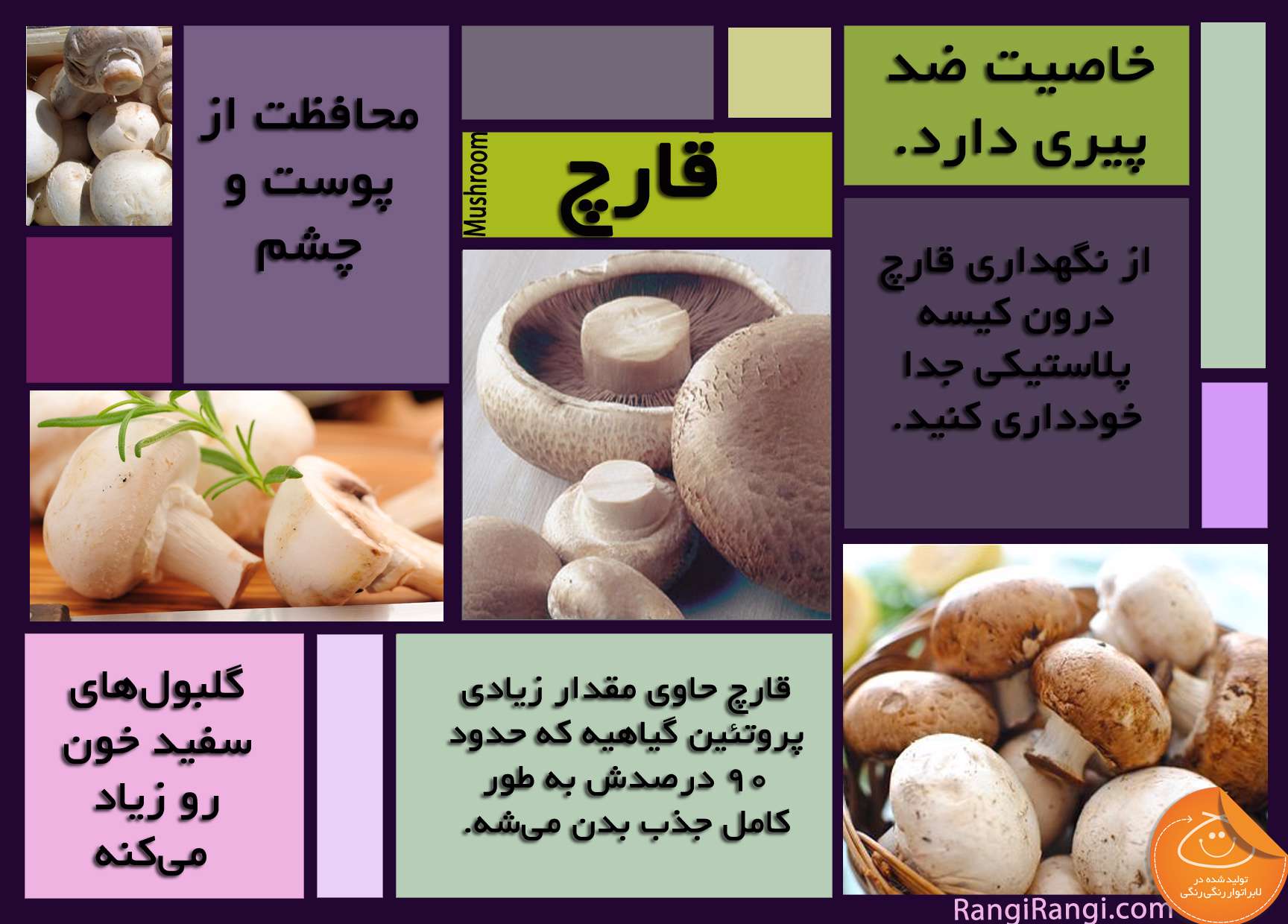 خواص قارچ، نگهبان کوچک بدن