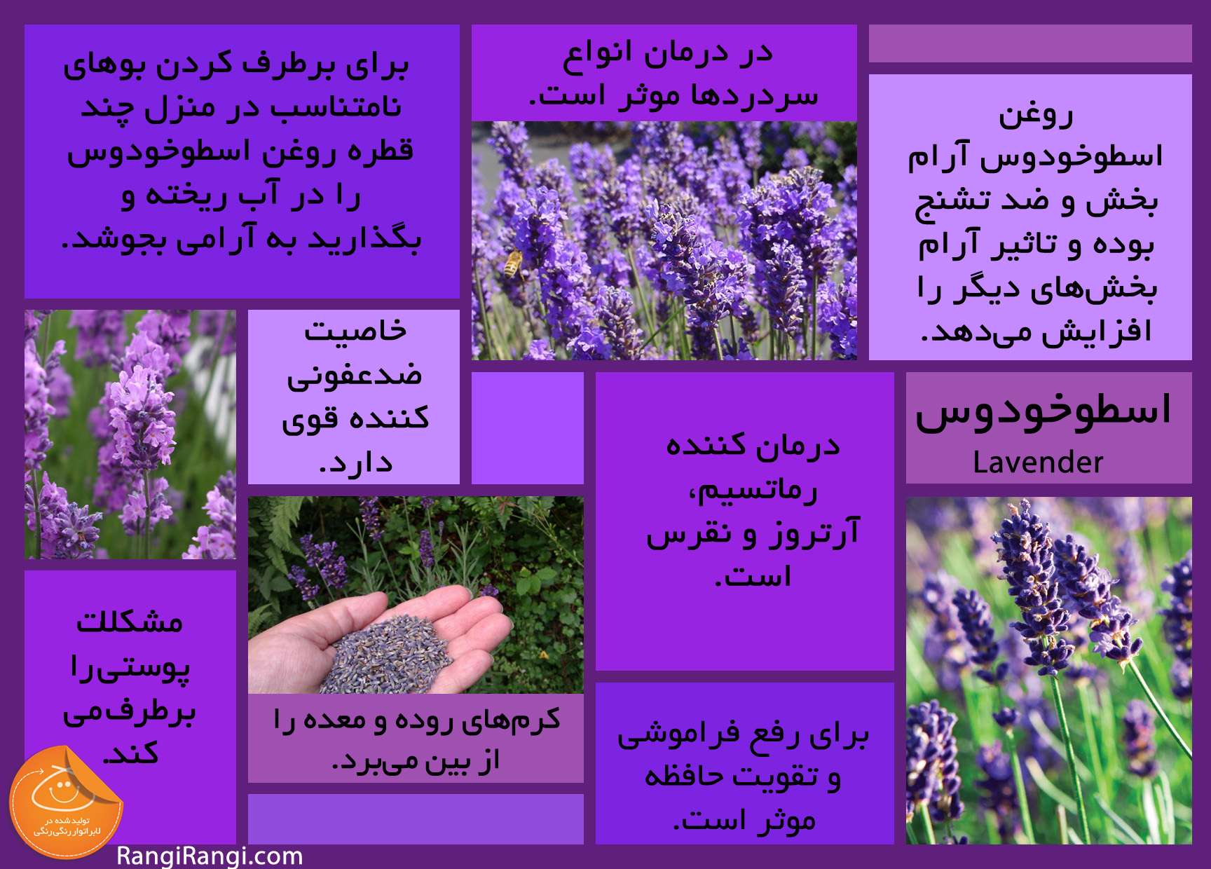 اسطوخودوس در نبرد با میکروب‌ها