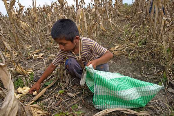  سیر کردن فقیر