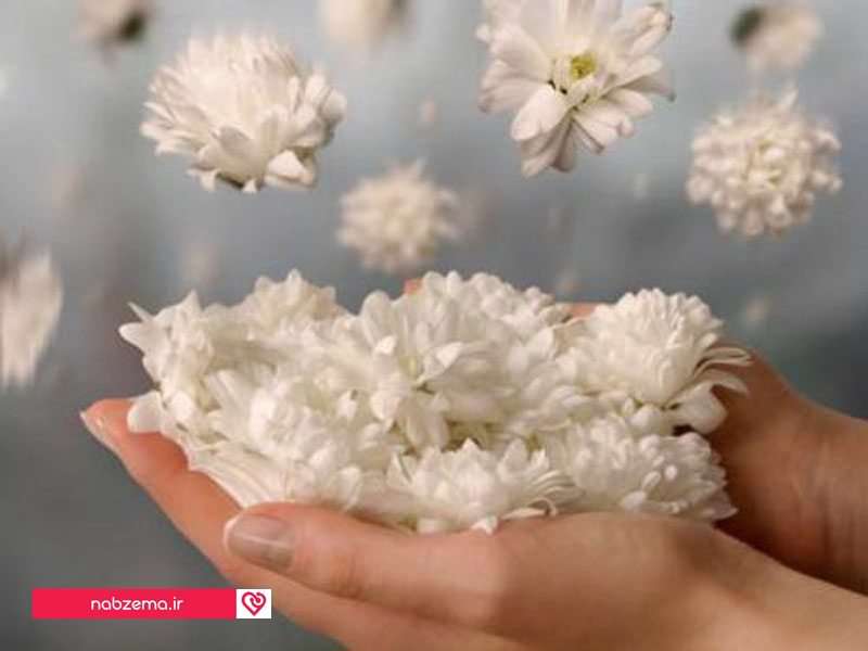 ویژگیهای پدر مهربان ترین پدر دنیا 